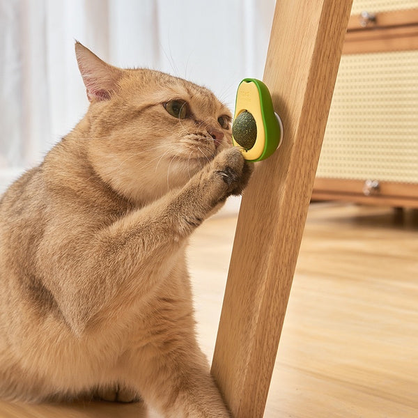 AVOCADO CATNIP BALL