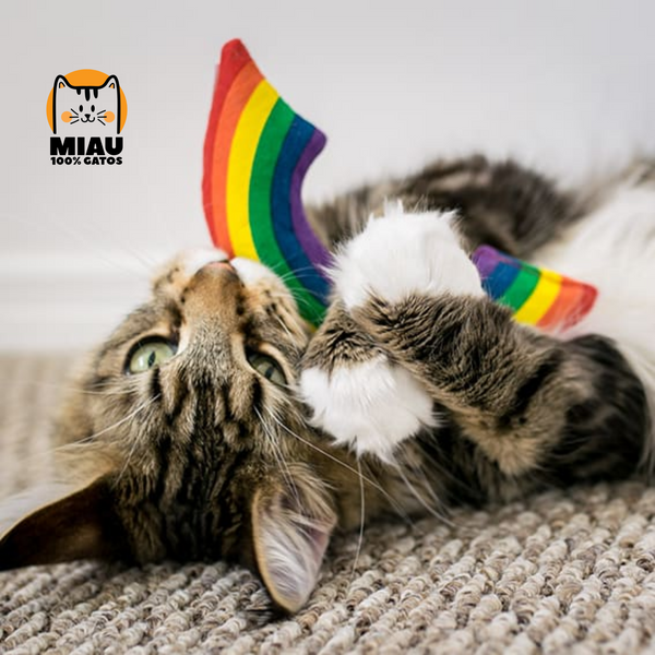 YEOWWW! - RAINBOW 🌈 100% RELLENO DE CATNIP ORGÁNICO