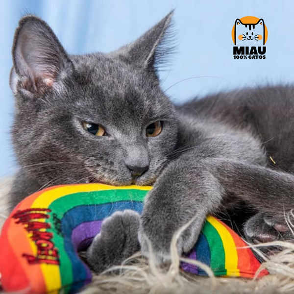 YEOWWW! - RAINBOW 🌈 100% RELLENO DE CATNIP ORGÁNICO