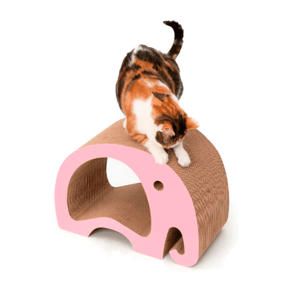 RASCADOR CATIT ZOO - ELEFANTE 2 EN 1