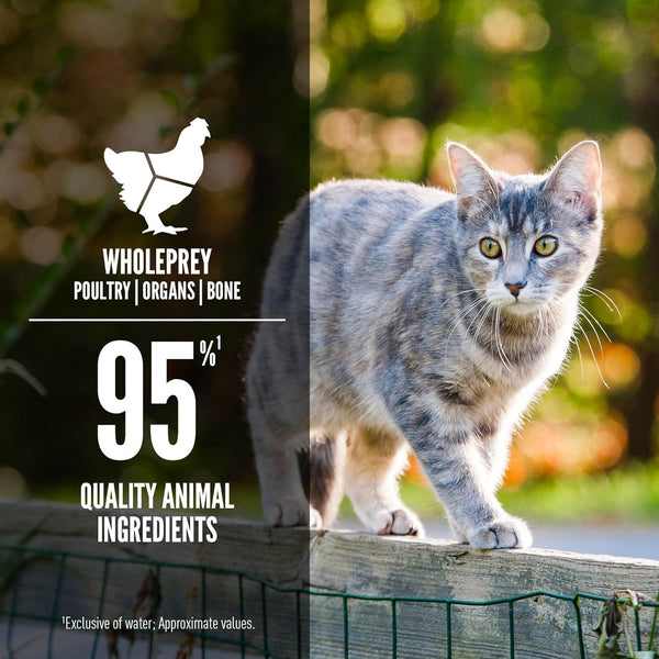 ORIJEN LATA PARA GATOS ADULTOS PATO Y POLLO ENTREE IN BONE BROTH