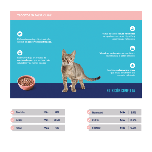 RICOCAT GATITOS TROCITOS EN SALSA SABOR CARNE LATA X 160 GR