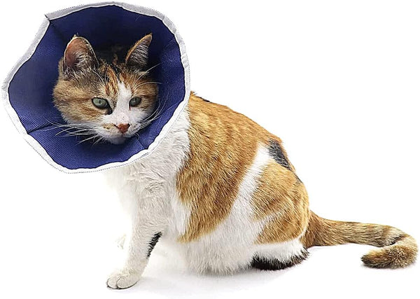 KRUUSE COLLAR ISABELINO BLANDO PARA GATOS