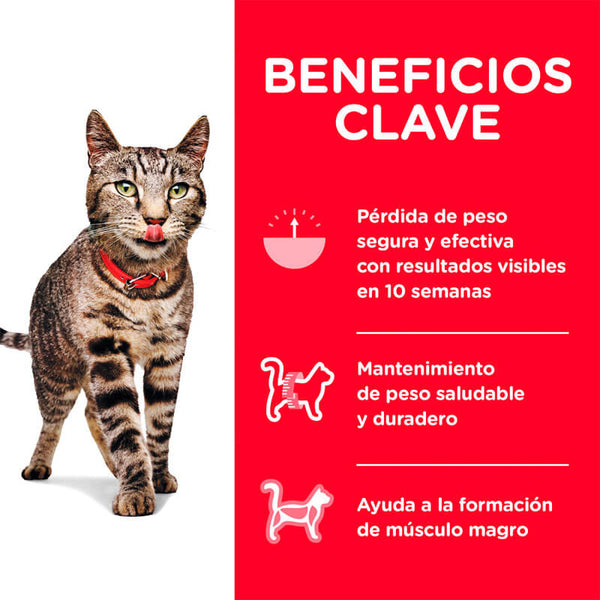 ALIMENTO HILLS ADULTO PERFECT WEIGHT 1.6 KG