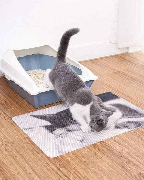 ALFOMBRA SALIDA DE BAÑO