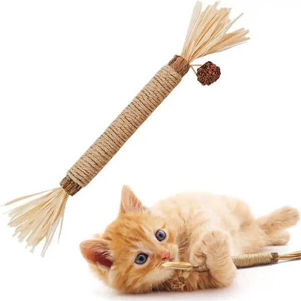 MATATABI DENTAL STICK