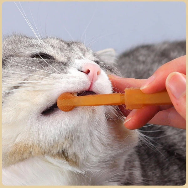 CEPILLOS DENTALES DE SILICONA