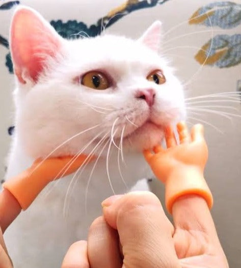 MANITAS PARA GATOS TIKTOK