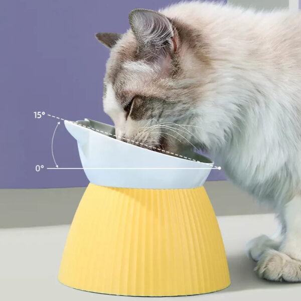 PLATO ELEVADO FANCY CATS