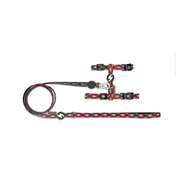 ARNES PARA GATOS DASHI LA CASA DE PAPEL