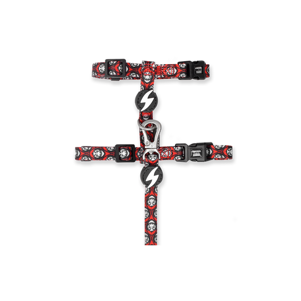 ARNES PARA GATOS DASHI LA CASA DE PAPEL