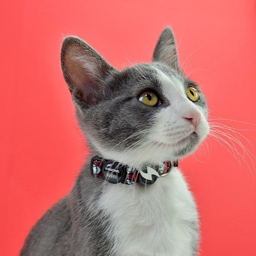COLLAR PARA GATOS LA CASA DE PAPEL