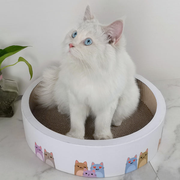 RASCADOR PARA GATOS ROUND BED