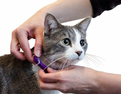 COLLAR FEROMONAS SENTRY