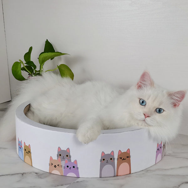 RASCADOR PARA GATOS ROUND BED