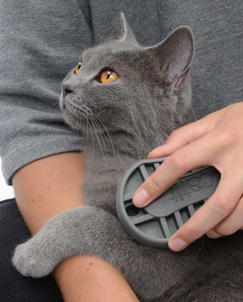 CATIT GROOMING KIT PARA PELO CORTO
