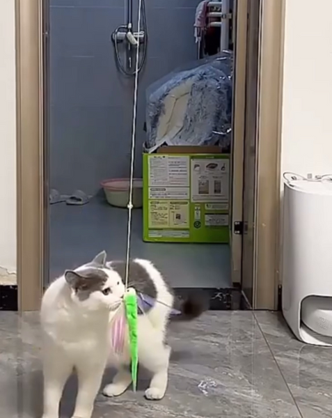 JUGUETE COLGANTE  ELÁSTICO TIKTOK