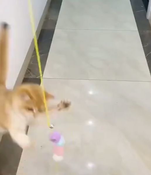 JUGUETE COLGANTE  ELÁSTICO TIKTOK