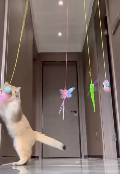 JUGUETE COLGANTE  ELÁSTICO TIKTOK