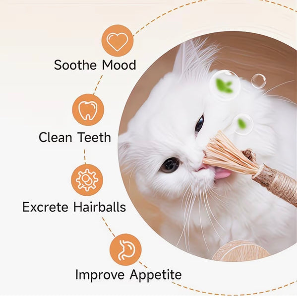 MATATABI DENTAL STICK PARA GATOS | JUGUETE DENTAL NATURAL