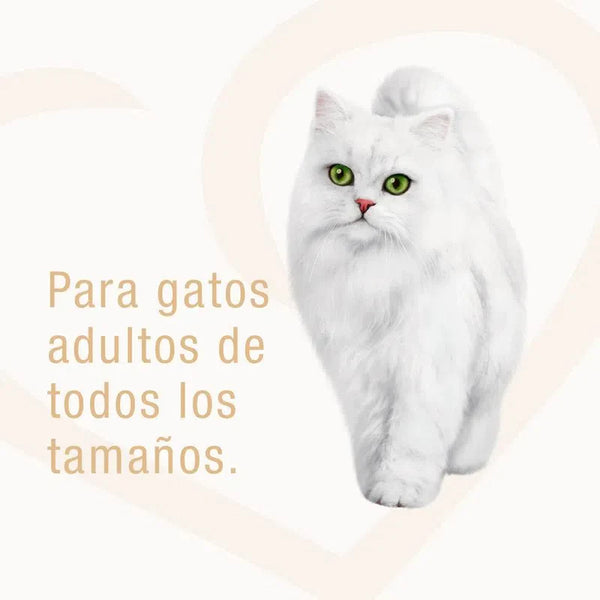 LATA FANCY FEAST – GRILLED SALMÓN 85GR
