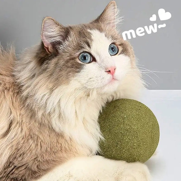 PELOTA DE CATNIP GIGANTE