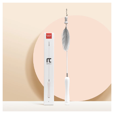 CAÑA EXTENSIBLE PAKEWAY CON PLUMA LÁSER Y MORDEDOR