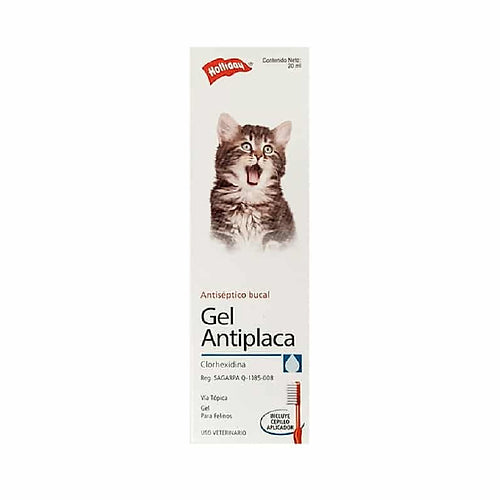 GEL ANTIPLACA PARA GATOS - CLORHEXIDINA 0.2%