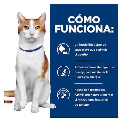LATA MEDICADA PARA GATOS ONC CARE HILLS 82 GR