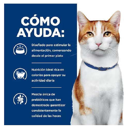 LATA MEDICADA PARA GATOS ONC CARE HILLS 82 GR