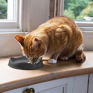 PLATO BAMBOO ANTIFATIGA DE BIGOTES PARA GATOS - BECOPETS
