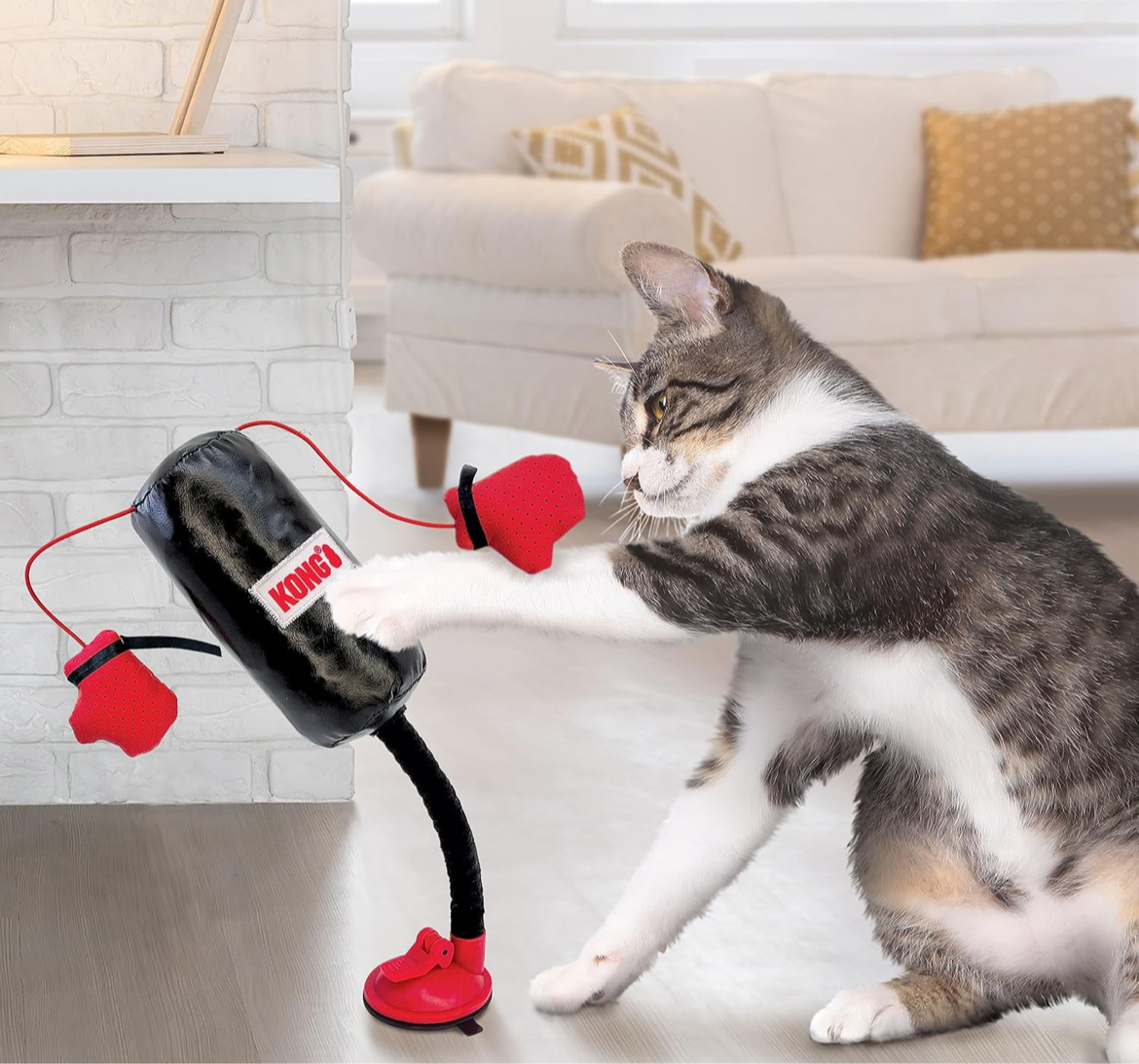 SACO DE BOX KONG PARA GATOS