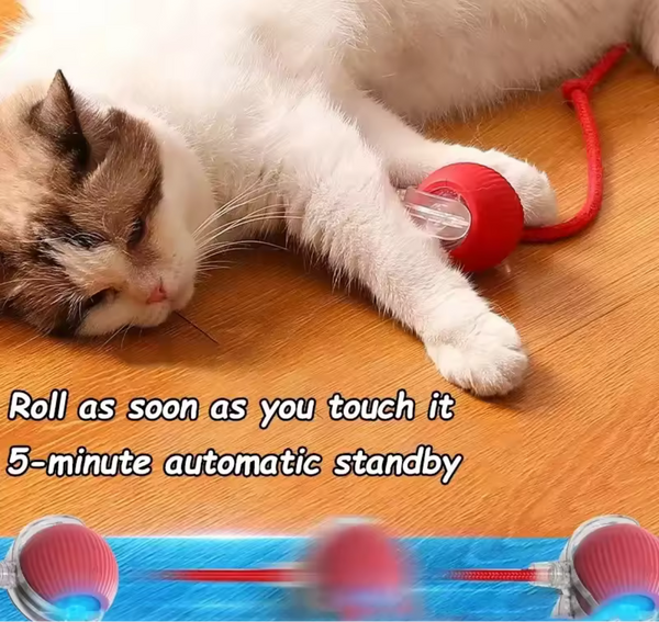 PELOTA MÁGICA