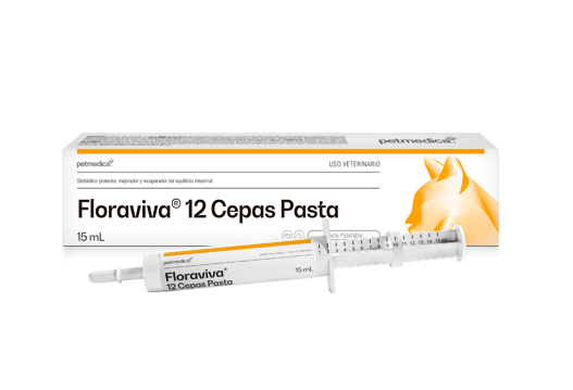 FLORAVIVA PROBIOTICO - 12 CEPAS PASTA