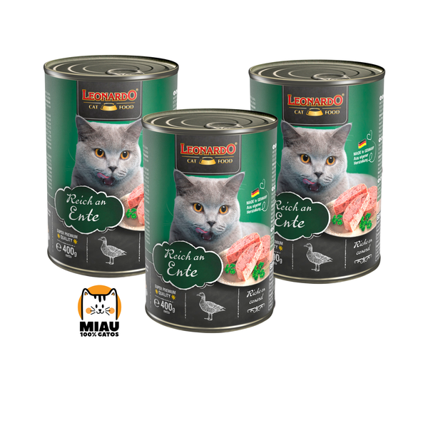 PROMO LEONARDO MIX 400 GR X 6 UNIDADES