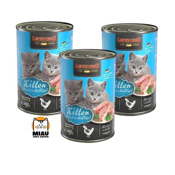 PROMO LEONARDO MIX 400 GR X 6 UNIDADES