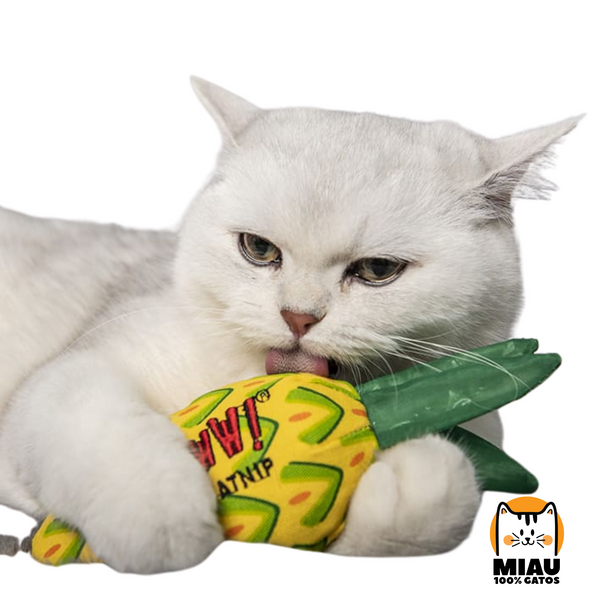 YEOWWW! - PINEAPPLE RELLENA 100% CATNIP ORGANICO