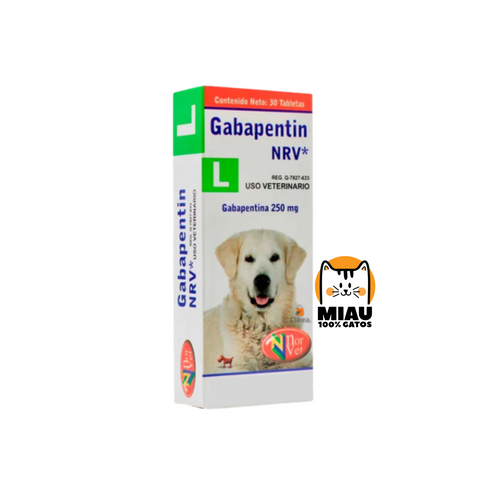 GABAPENTINA 250 MG