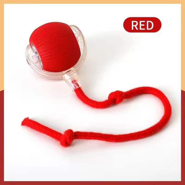 PELOTA MÁGICA