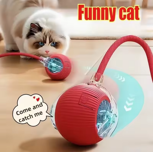 PELOTA MÁGICA