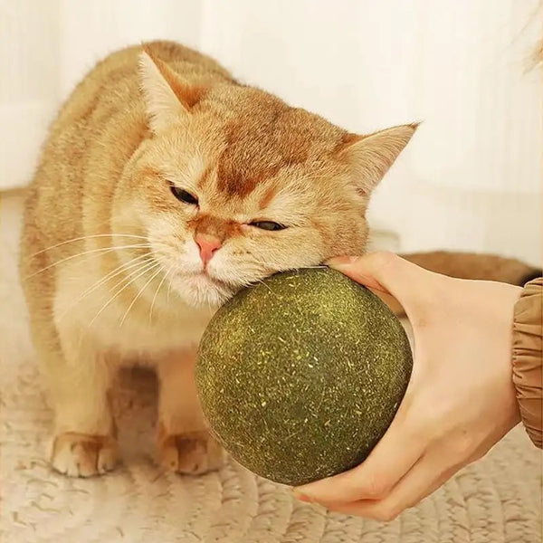 PELOTA DE CATNIP GIGANTE