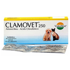 CLAMOVET 250 AMOXICILINA + ACIDO CLAVULANICO