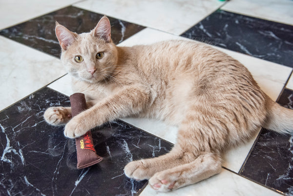 PURO MARRÓN YEOWWW CATNIP - RELLENO 100% DE CATNIP