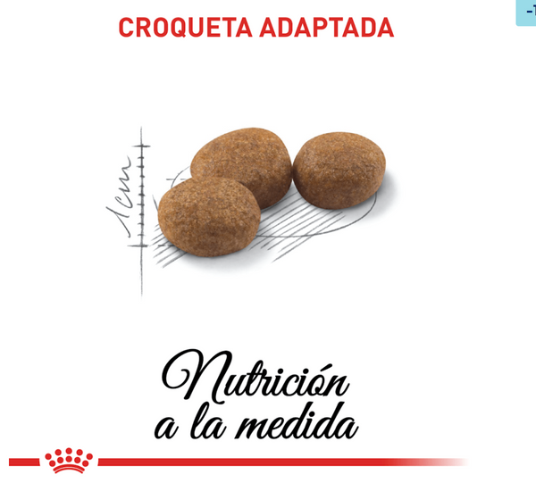 ROYAL CANIN GATO ADULTO ESTERILIZADO 2 KG