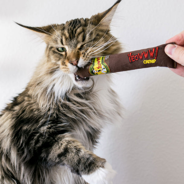 PURO MARRÓN YEOWWW CATNIP - RELLENO 100% DE CATNIP