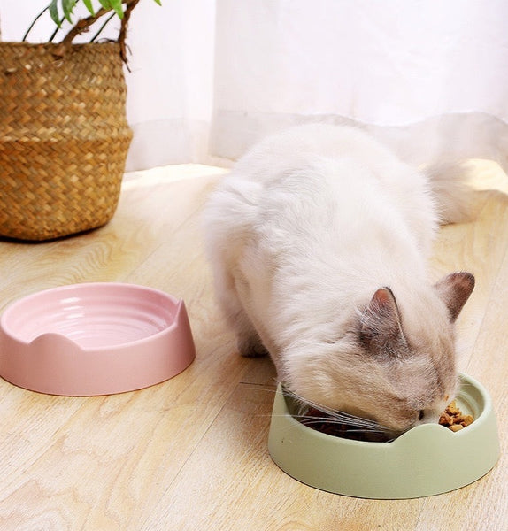 PLATO ANTIFATIGA PARA BIGOTES PEQUEÑO