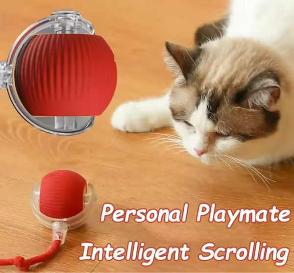 PELOTA MÁGICA
