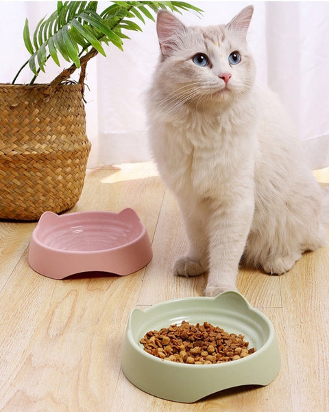 PLATO ANTIFATIGA PARA BIGOTES GRANDE