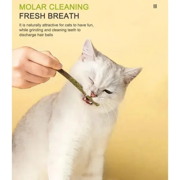 PACK PALITOS DE MATATABI CON CATNIP