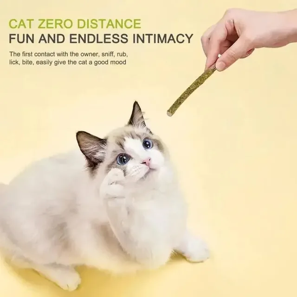 PACK PALITOS DE MATATABI CON CATNIP